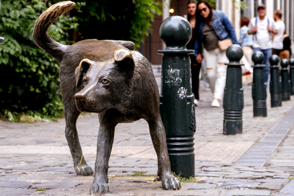 Dato Curioso Estatua del perro orinando - Bruselas Belgica